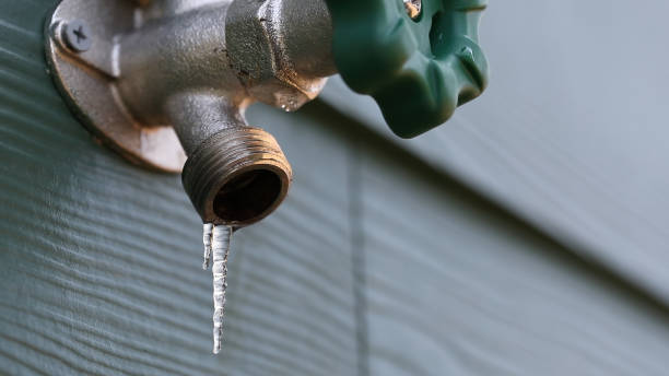 Best Affordable Plumbing Services  in Pasadena Hills, MO